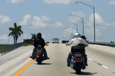 Road to Evereglades.