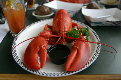 Lobsta'.