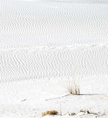 White Sands