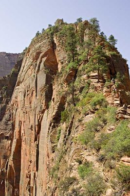 The Way To Angel's Landing