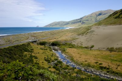 Mendicino Beach 2
