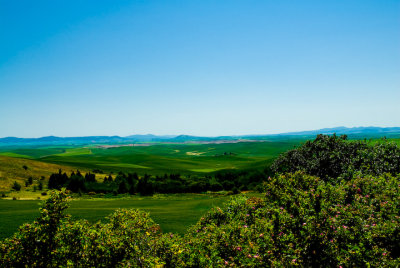 Steptoe Butte State Park