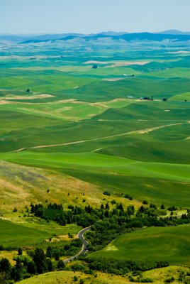 View from Steptoe Butte 2