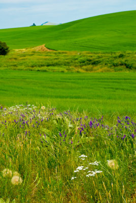 Near Takoa 2