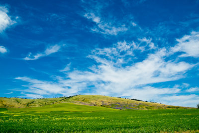 Big Sky near Rosalia