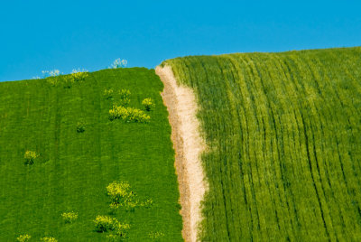 Crop devider