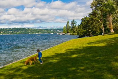 Lake Washington Shore at Denny Park