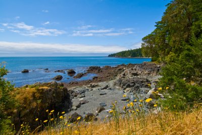 Pacific Coast Shore at East Sooke