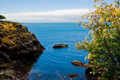 Pacific Coast Shore at East Sooke 2