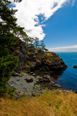 Pacific Coast Shore at East Sooke 3