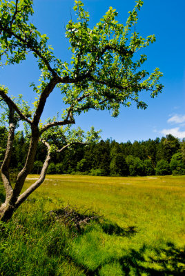 East Sooke Park picnic area