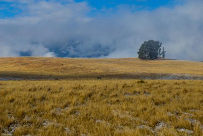 near Tekapo 1