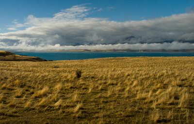 near Tekapo 3