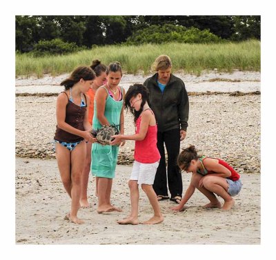 West Meadow-Horseshoe Crab Rescue - Team