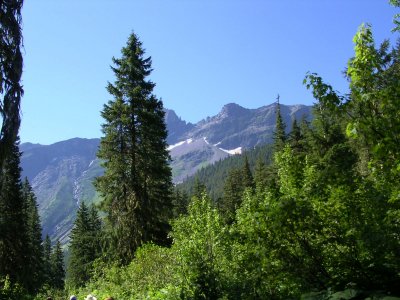 g6/26/536726/3/75695751.8QvHIF6Q.jpg