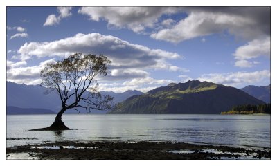 NZ2007-1380.jpg