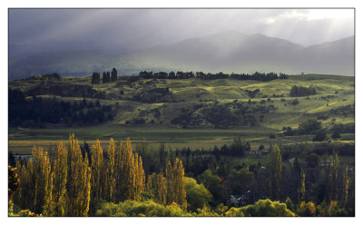 NZ2007-1394.jpg
