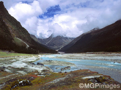 Yumthang Valley, Sikkim, India