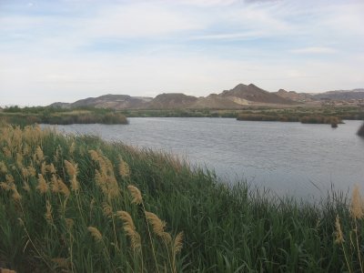 IMG_0185.jpg