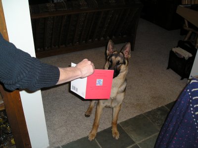 Christmas Card.JPG
