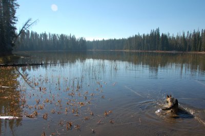 DSC_0033.jpg