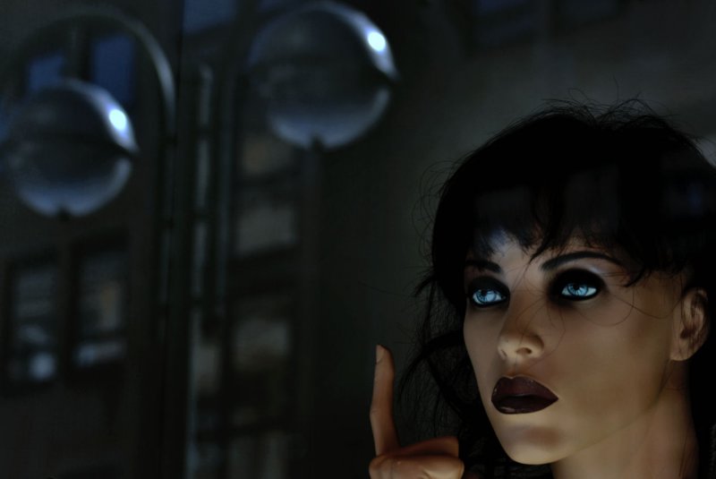 <b>They are alive and they are watching...</b>