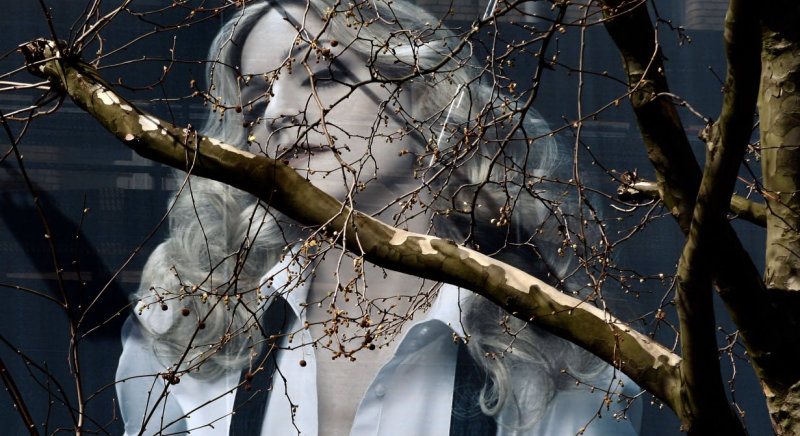 the tree of temptation