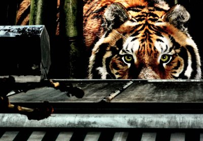 urban jungle