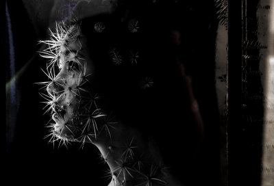 each rose has their thorns