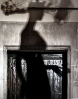 Shadow Lady