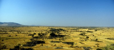 The view from Seronera, Serengeti plains, Tanzania