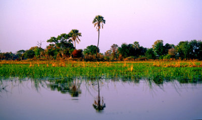 Okavango Delta, Botswana