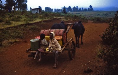 Going home, Slahamo village, Tanzania