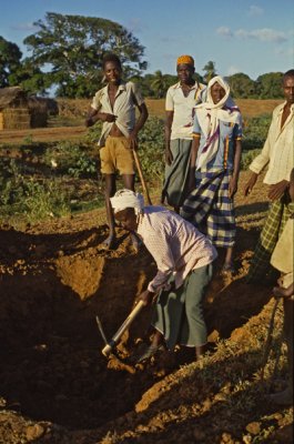 Sanitizing the village, Juba Valley, Somalia