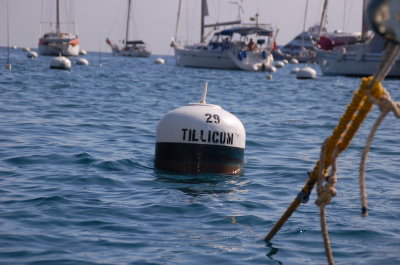 Catalina Island