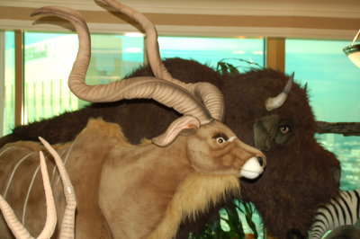 Toys & Stuffed Animals Gallery