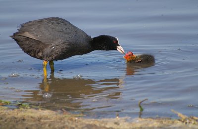 DSC_0372.jpg