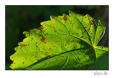 DSC_1638-1-web.jpg