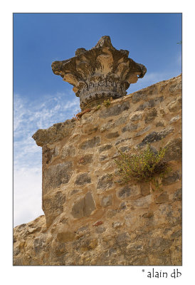 Abbaye de Valmagne - Detail