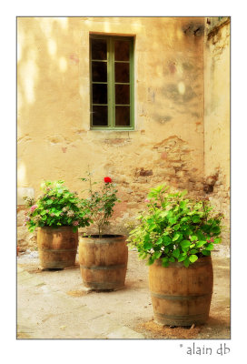 Abbaye de Valmagne