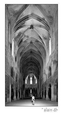 Abbaye de Valmagne - Eglise