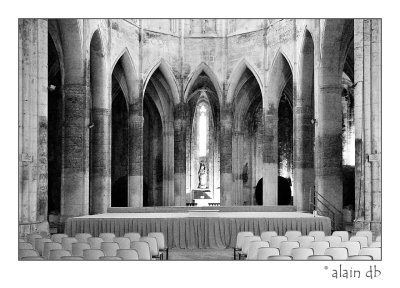 Abbaye de Valmagne - Eglise
