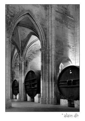 Abbaye de Valmagne - Eglise