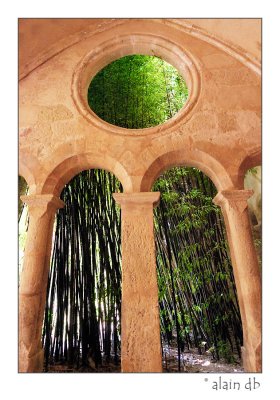 Abbaye de Valmagne