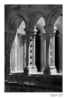Abbaye de Valmagne - Cloitre