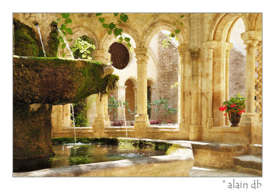 Abbaye de Valmagne - Fontaine