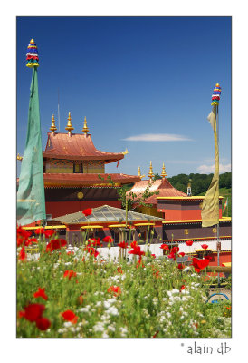 Temple bouddhiste 'Lerab Ling'