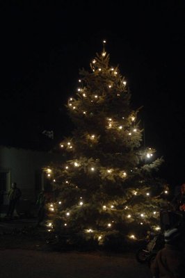 pb-DSC_0072.jpg