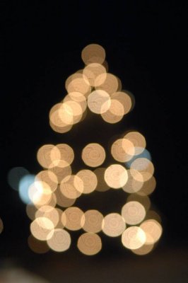 pb-DSC_0276.jpg