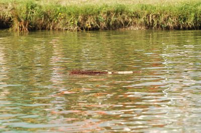 pb-DSC_3777.jpg